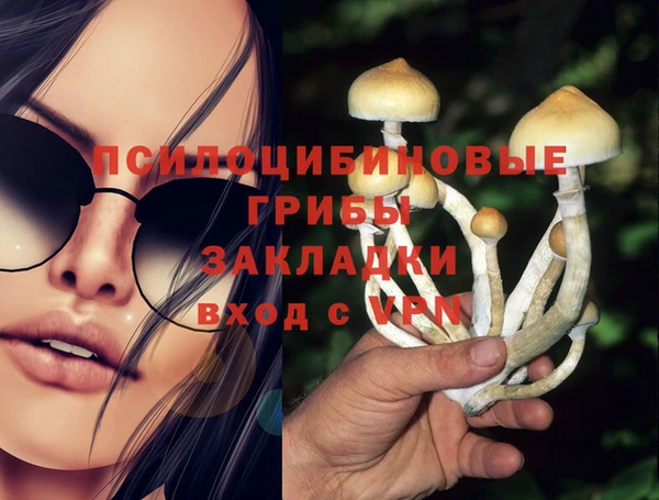 не бодяженный Аркадак